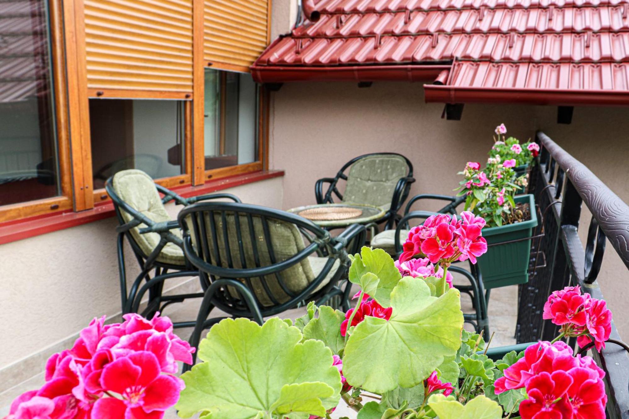 Sunset Home Vrsac Zewnętrze zdjęcie